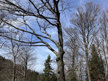 Foto von Meinrad Föger entlang der Tour