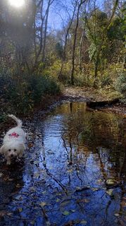 Fotografija s spletne strani Michele Zollia na poti