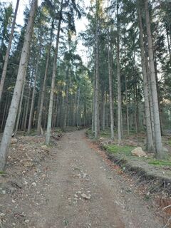 Wanderweg zum Libín im unteren Bereich nach der Spitzkehre