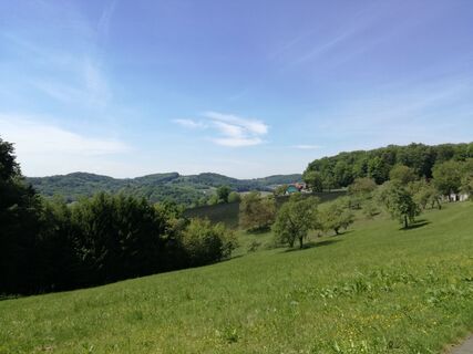 Ausblicke und Einblicke