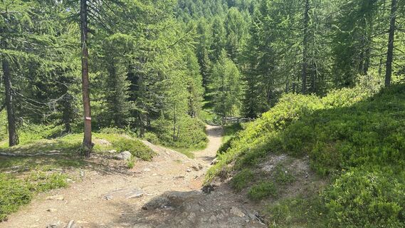 Foto von Pezzotta entlang der Tour