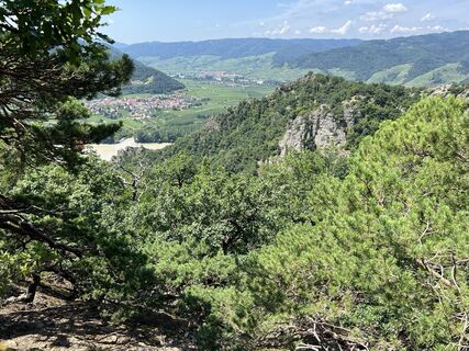 Foto von Marco Harfmann entlang der Tour