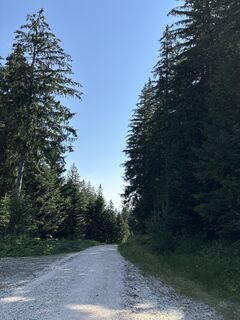 Photo de Heinz Sperl le long du parcours