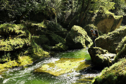 Erlaufschlucht
