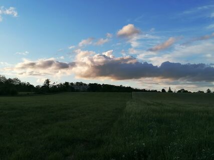 Fotografija s spletne strani luyyy na poti