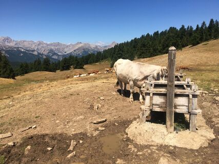 Fotografia z Frédéric Lagandré na trase