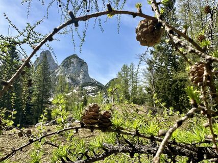 Foto von Natur_erleben_dg entlang der Tour