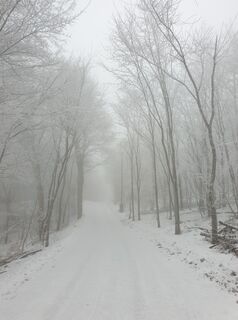 Foto von Georg B. Meier entlang der Tour
