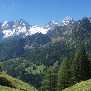 Blick Richtung Bräugföllalm und Loferer Steinberge