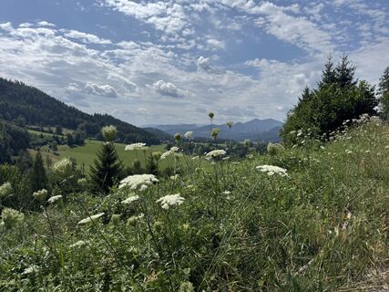 Photo de Alexander01267 le long du parcours