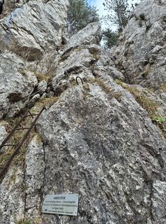 Foto de Padole a lo largo del recorrido