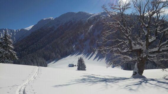 Sohlenalm