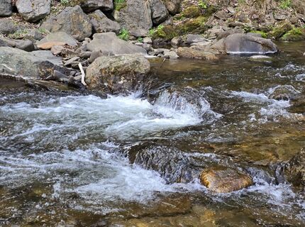 Foto de MRDL a lo largo del recorrido