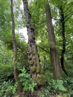 Zdjęcie z Martin Lorscheider wzdłuż trasy