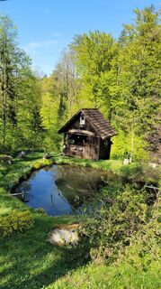 Fotografie z Juliane Jarke na trase