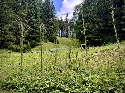 Foto von Beatrix Hefler entlang der Tour