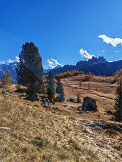Foto fra VESNA PETROVIČ undervejs på turen