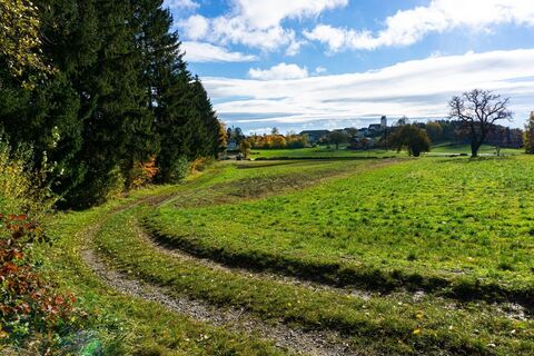 Blick auf Neukirchen