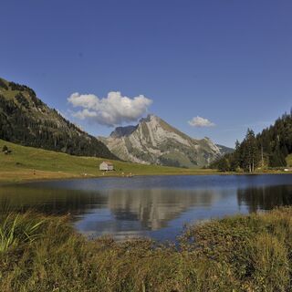 Gräppelensee