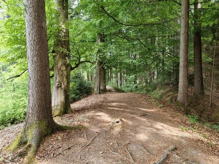 Photo de Felix le long du parcours