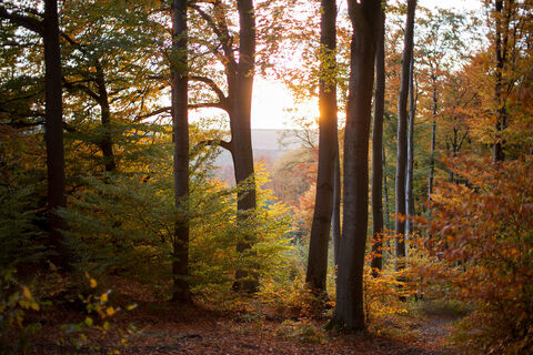Orte und Landschaften im Sauerland