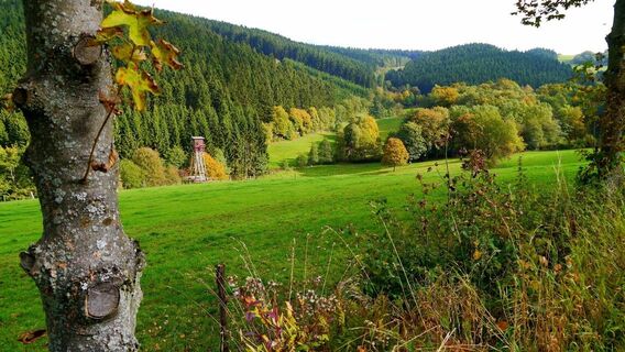 Sorpetal unterhalb Wildewiese