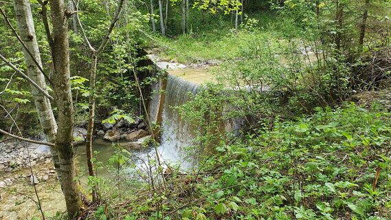 2.4 km Stufe des Zlambachs