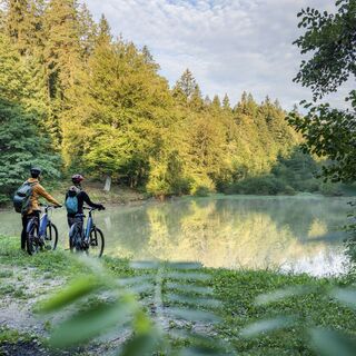 Ribnik Race im Udiner Wald