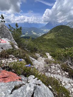 Fotografie z Heikoala na trase