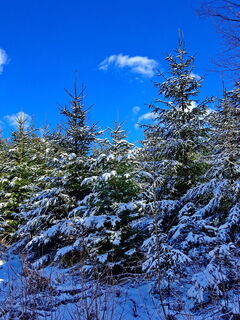 frischer Schnee nach einem Tag, 2 Tage vorher hatte es schon 15 Grad