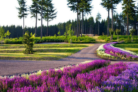 SeeGarten am Stausee in Losheim am See