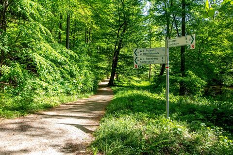 Seifersdorfer Tal