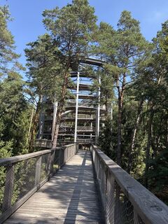 Photo de Tyx De le long du parcours