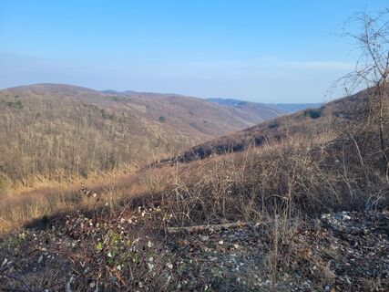 Foto fra mmecki undervejs på turen