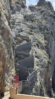 Photo de Xenos le long du parcours