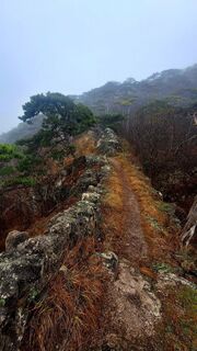 Fotografie z Regina Fleischmann na trase