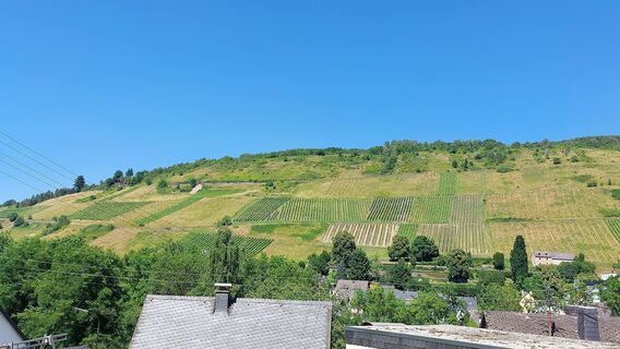 Fotografia z Helene Singer na trase