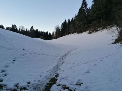 Fotografija s spletne strani Turbinio na poti