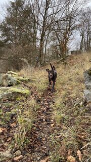 Fotografie de la daRob de-a lungul turului