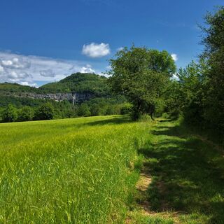 Naturspaziergang: Die Tour du Fierloz_Artemare