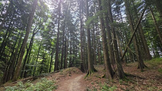 Foto von EP87 entlang der Tour