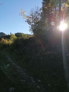 Photo de Beate Blatter le long du parcours