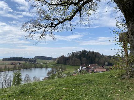 Photo de Lars Klein le long du parcours
