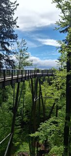 Fotografie de la Hallunke Frank de-a lungul turului