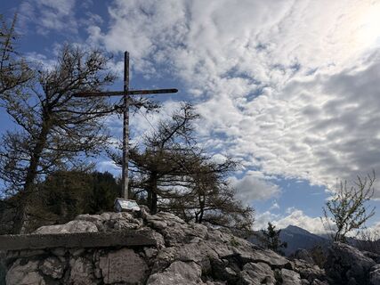 Zdjęcie z Natur_erleben_dg wzdłuż trasy