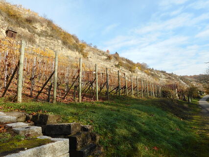 Benninger Weinberge