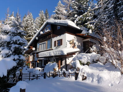 Alm Ferienhaus Gaisegg