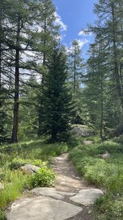 Photo de Peter Burki le long du parcours