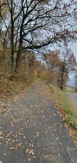 Foto de Uwe Korella a lo largo del recorrido