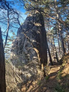 Foto von Grizli entlang der Tour